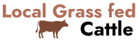 Local grass fed cattle